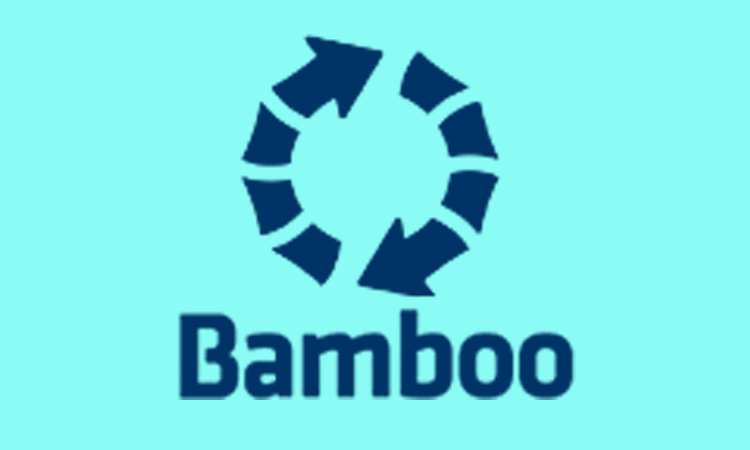 Bamboo